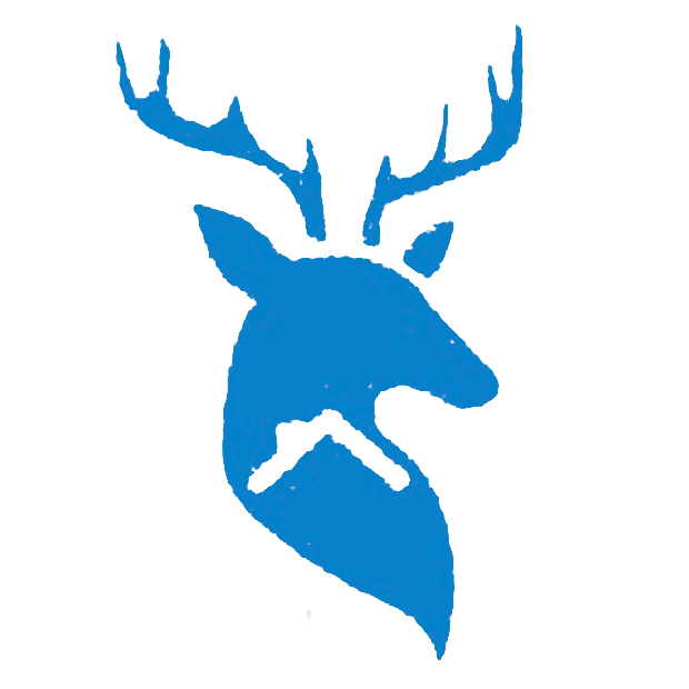 Buck's Roofing & Construction